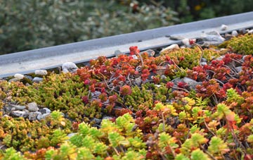 the cost of Pencaitland green roof installation