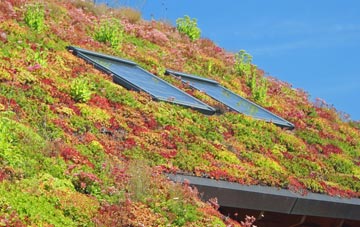 Pencaitland living roof systems