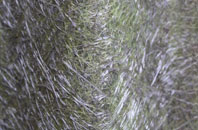 Pencaitland fibreglass roof work